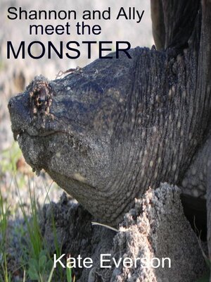cover image of Shannon and Ally Meet the Monster